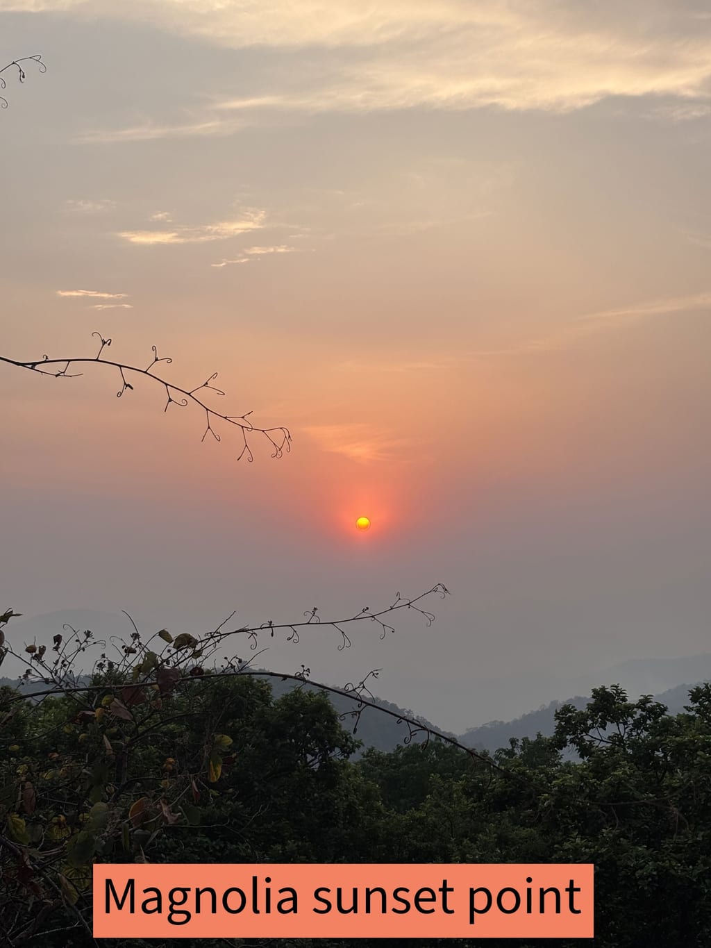 Magnolia Sunset point with sun
